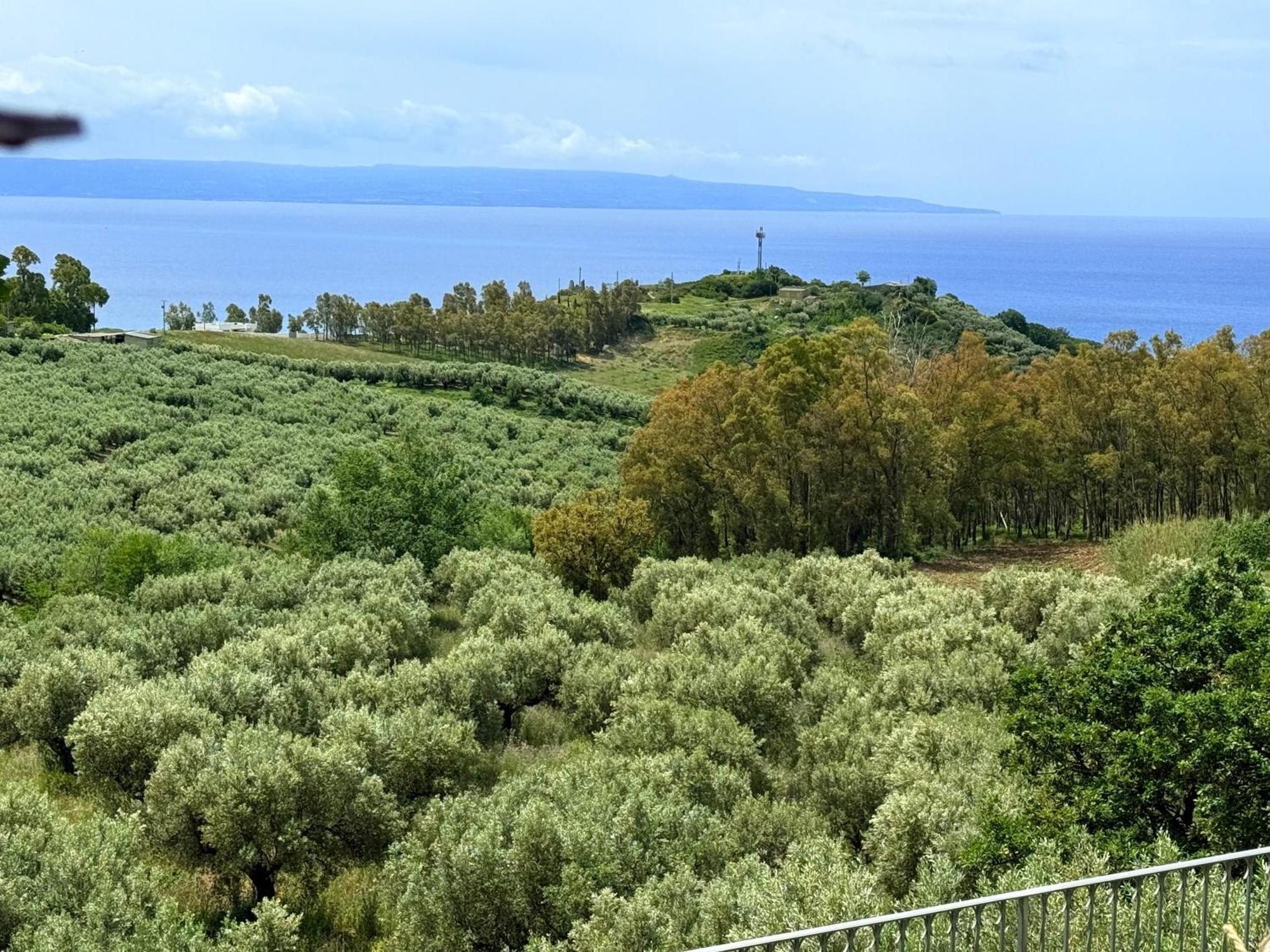 Casale Calabria Bed & Breakfast Gizzeria Dış mekan fotoğraf
